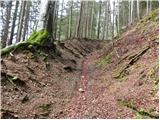 Zgornje Jezersko - Roblekova planina